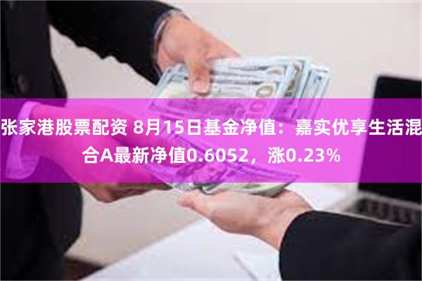 张家港股票配资 8月15日基金净值：嘉实优享生活混合A最新净值0.6052，涨0.23%