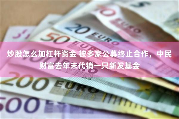 炒股怎么加杠杆资金 被多家公募终止合作，中民财富去年未代销一只新发基金