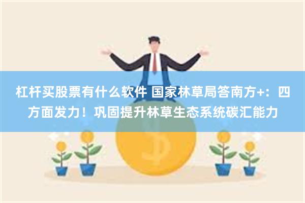 杠杆买股票有什么软件 国家林草局答南方+：四方面发力！巩固提升林草生态系统碳汇能力