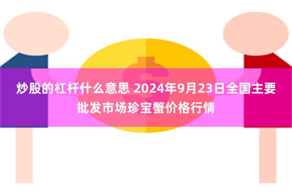 炒股的杠杆什么意思 2024年9月23日全国主要批发市场珍宝蟹价格行情