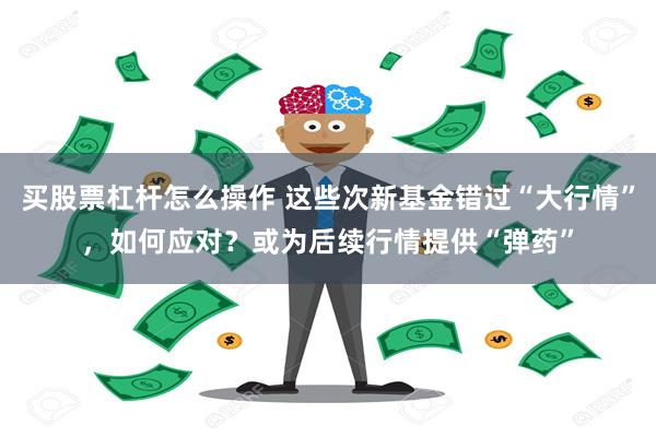 买股票杠杆怎么操作 这些次新基金错过“大行情”，如何应对？或为后续行情提供“弹药”