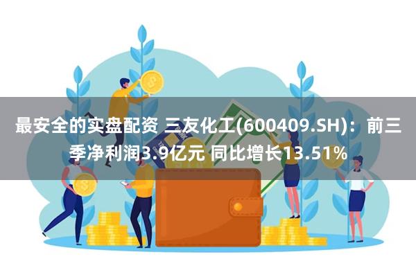 最安全的实盘配资 三友化工(600409.SH)：前三季净利润3.9亿元 同比增长13.51%